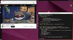 Run Gui Application from Web-Based Terminal Emulator Ubuntu18.04/Jupyter Notebook