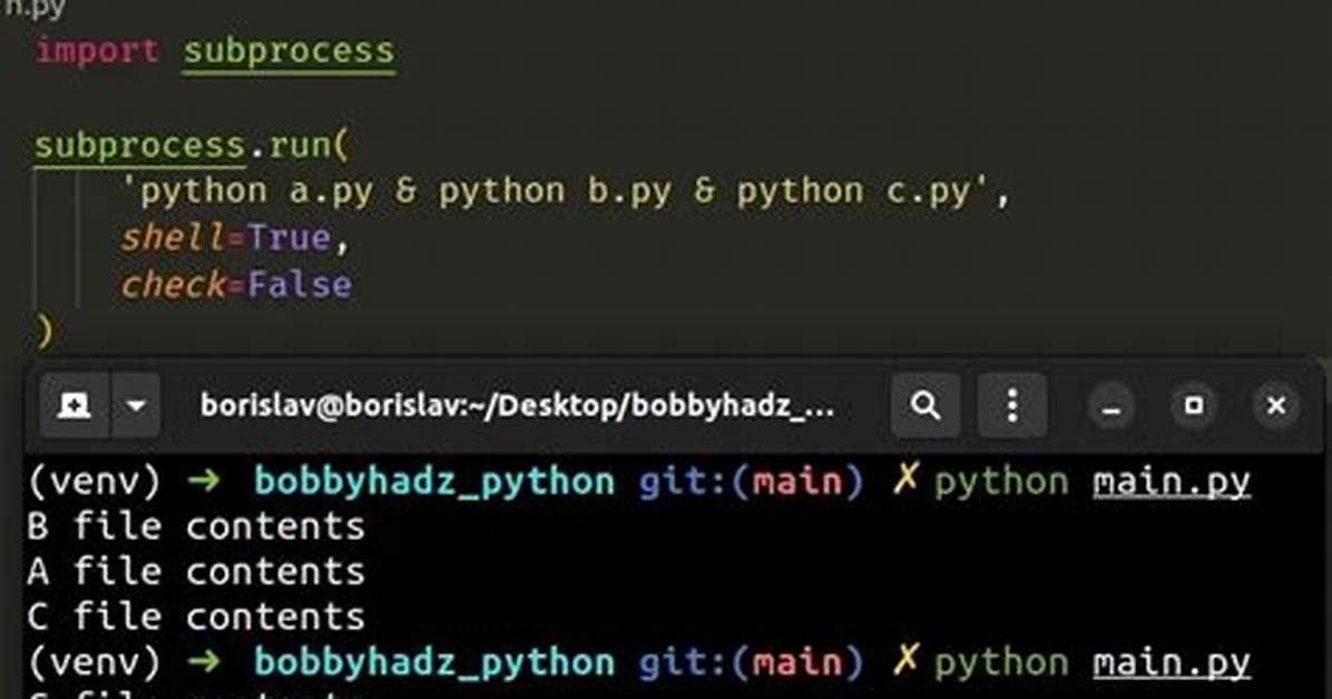 Run Multiple Python Scripts Concurrently