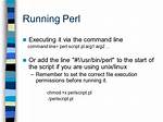 Running Perl Script from Command Line?