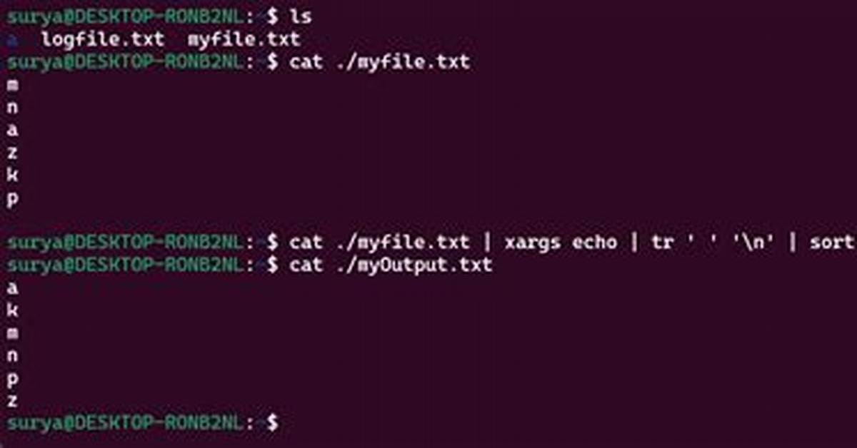 Running Programs in Parallel Using Xargs