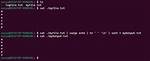 Running Programs in Parallel Using Xargs
