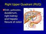 Ruq Organs