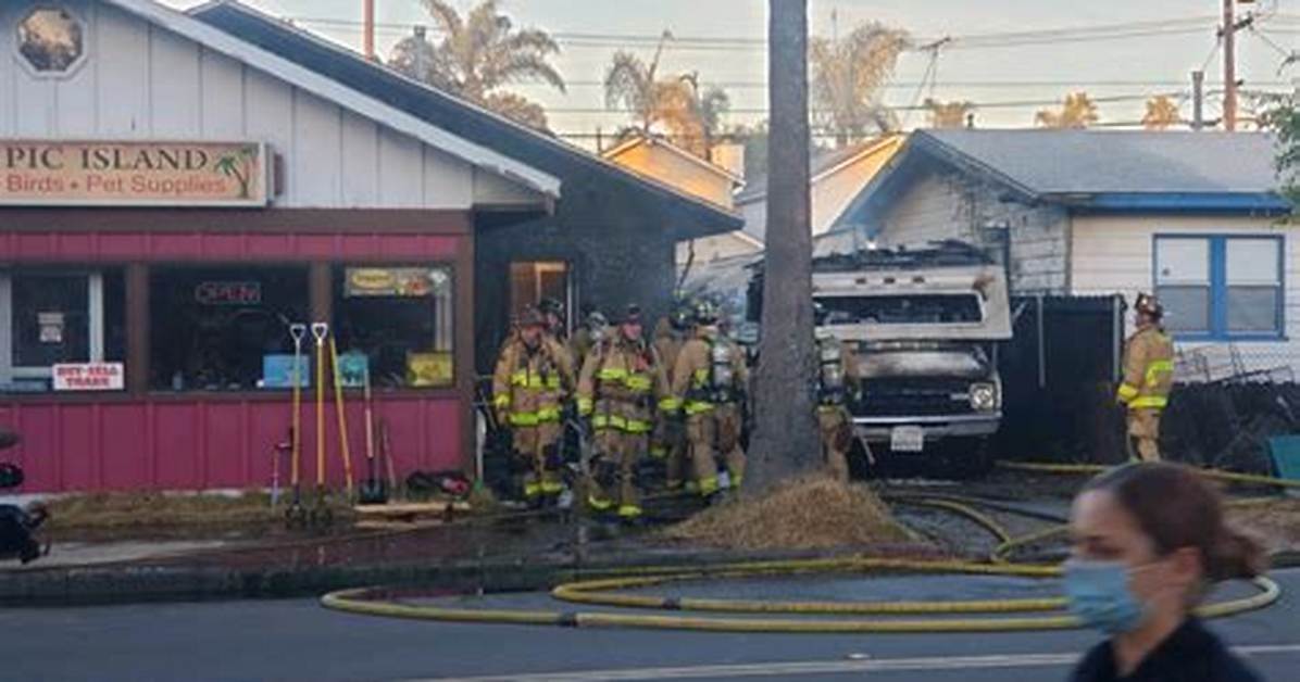 Rv Catches Fire, Flames Spread to Bird Store Next Door – Nbc 7 San Diego