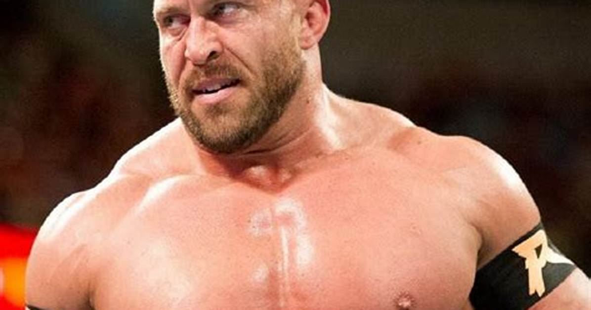 Ryback Bio (Wiki)