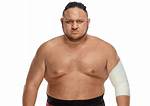 Samoa Joe