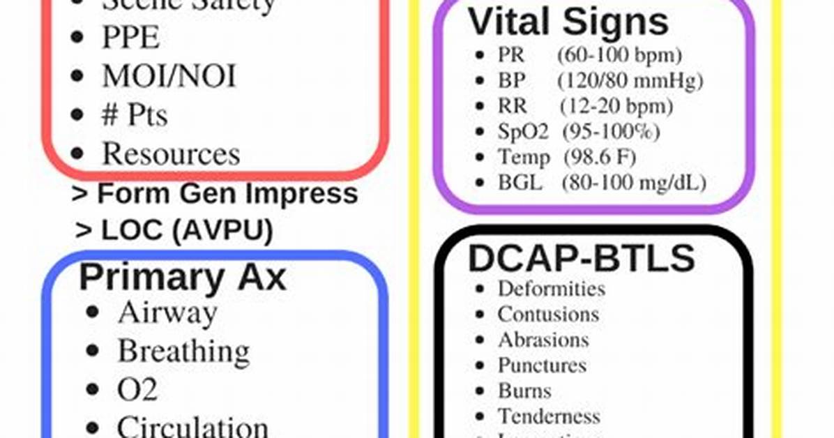 Sample Emt Acronym