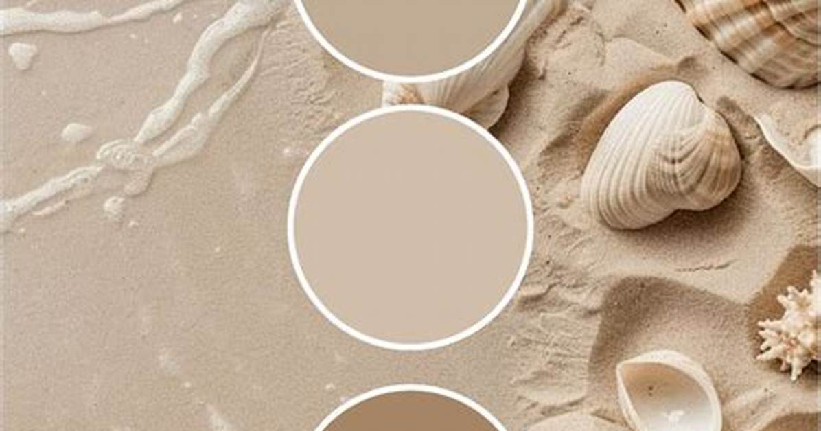 Sandy Colours