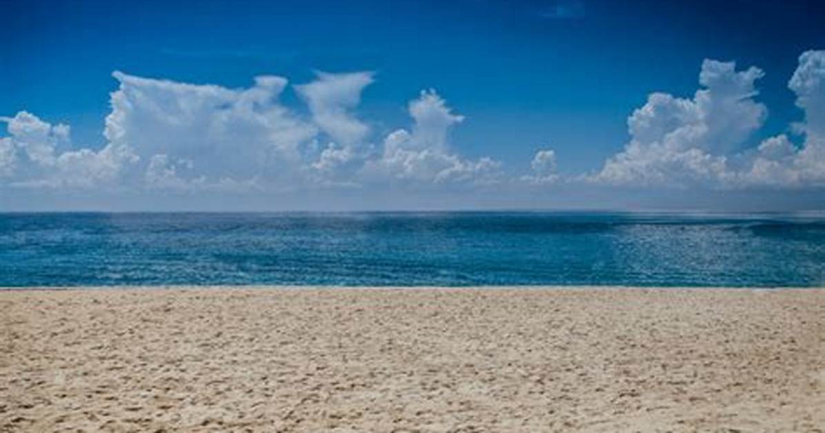 Sandy Seashore