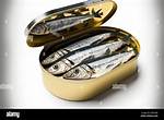 Sardine Containers