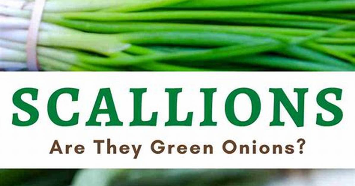 Scallion-Like Vegetable