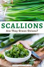 Scallion-Like Vegetable