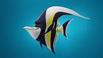 Scar Fish Nemo