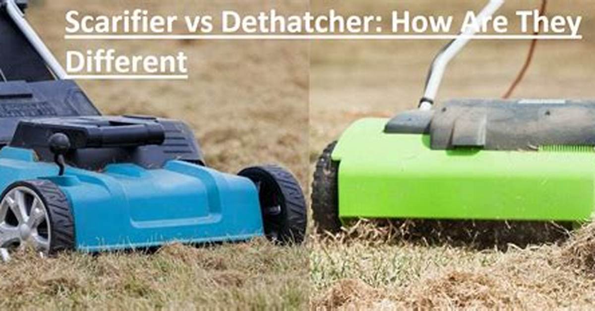 Scarifier vs Dethatcher