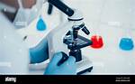 Scientist's Work Setting