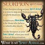 Scorpion Meaning