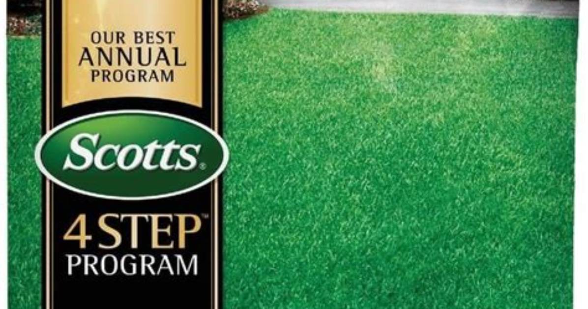 Scotts Step 2