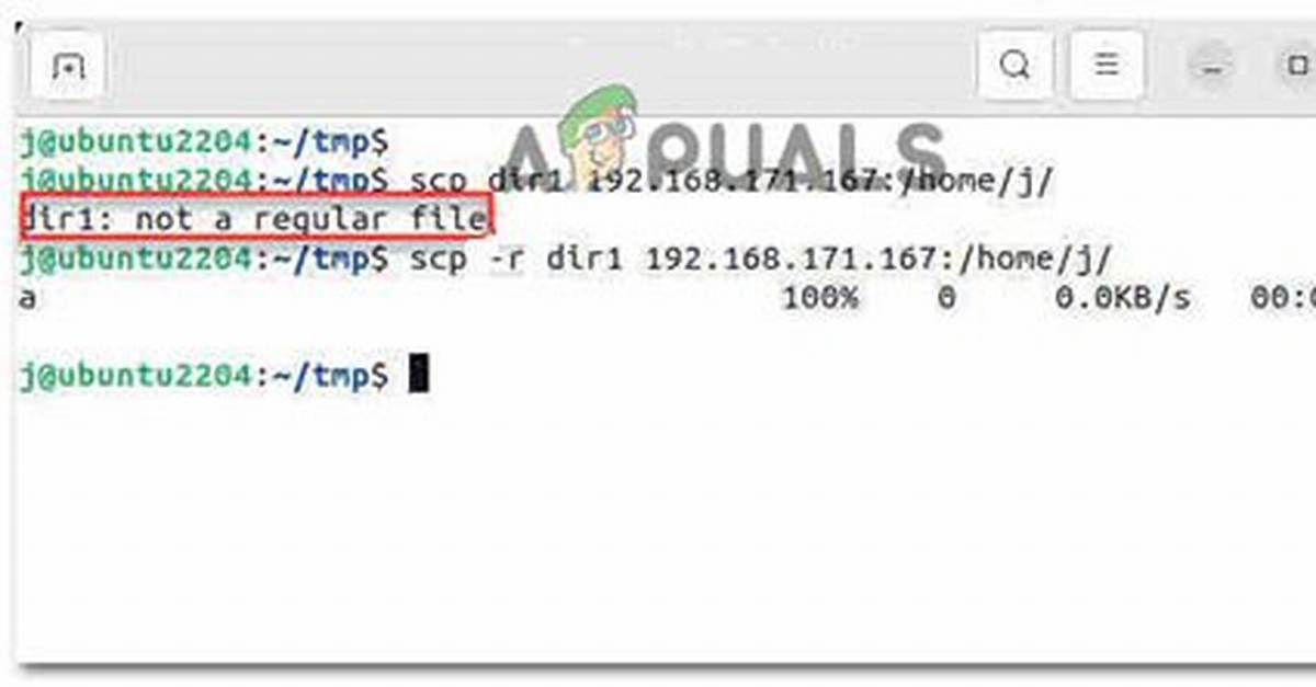 Scp Error: Not a Regular File