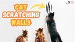 Scratching in Walls