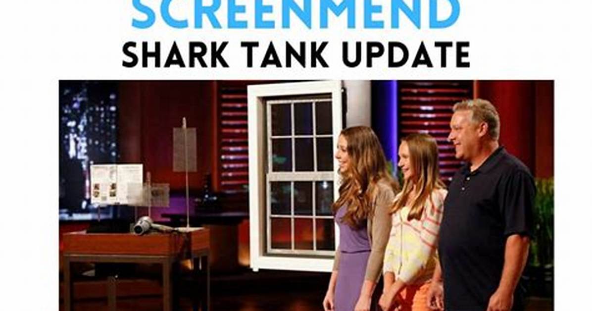 Screenmend Net Worth