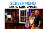 Screenmend Net Worth