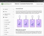 Scroll Element into View with Selenium