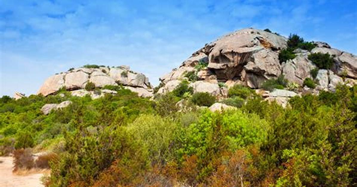 Scrubland