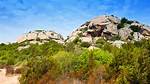 Scrubland