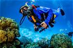 ___-Sea Diving