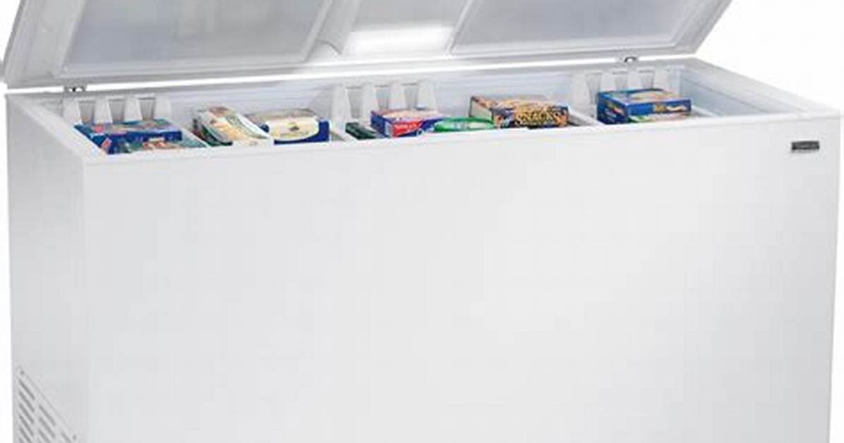 Sears Deep Freezer