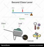 Second Class Lever
