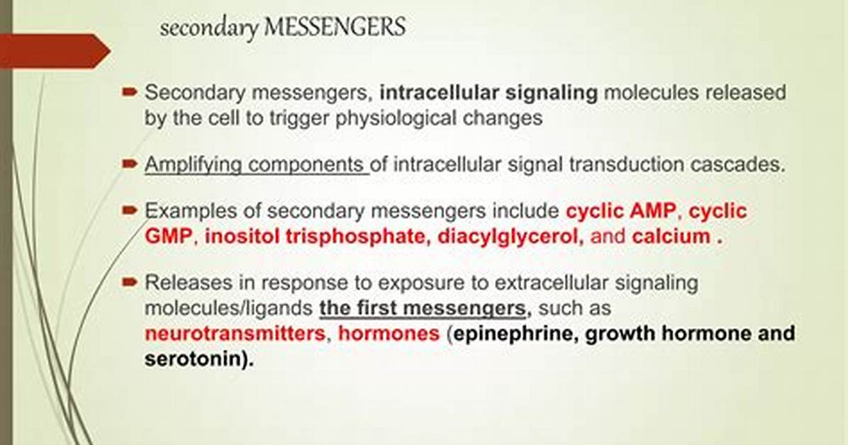 Second Messenger Examples