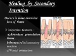Secondary Intention