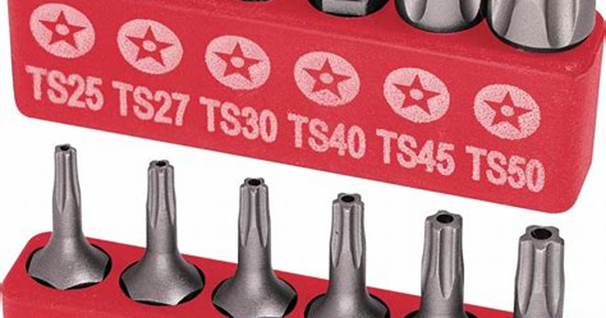 Security Torx Bits