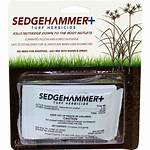 Sedge Hammer