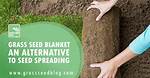 Seed Blanket