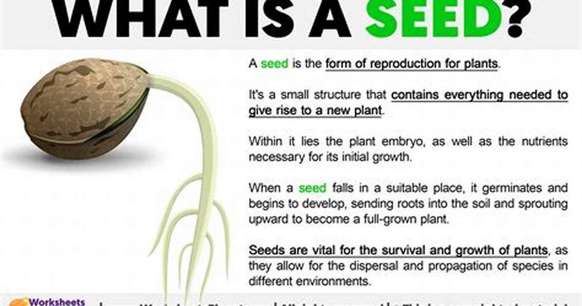 Seed Definition