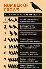 Seeing Crows Meaning