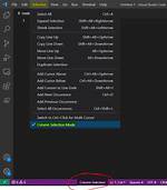 Selecting Columns in Visual Studio Code