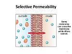 Selective Permeability