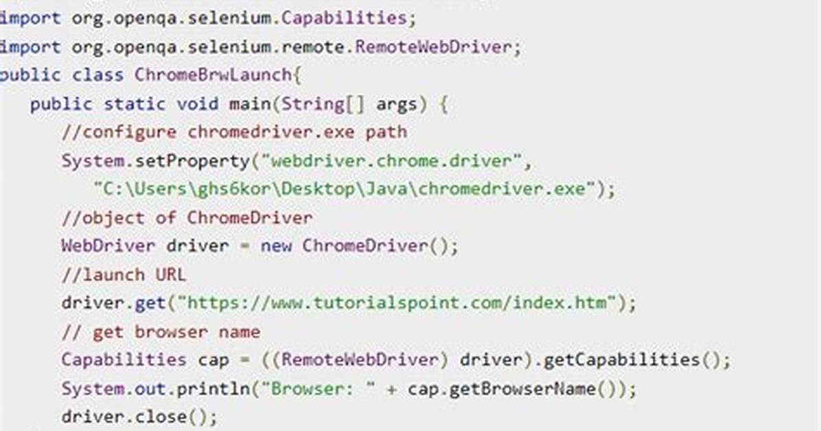 Selenium Chromedriver Doesn't Load Javascript in Webpage