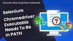 Selenium - Chromedriver Executable Needs to Be in Path [Duplicate]