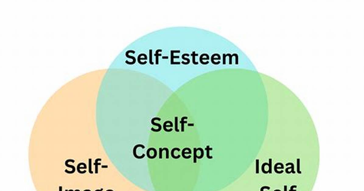 Self Concept Examples