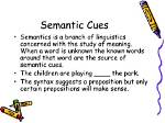 Semantic Cues