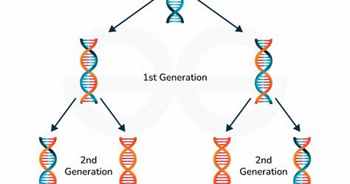 Semiconservative