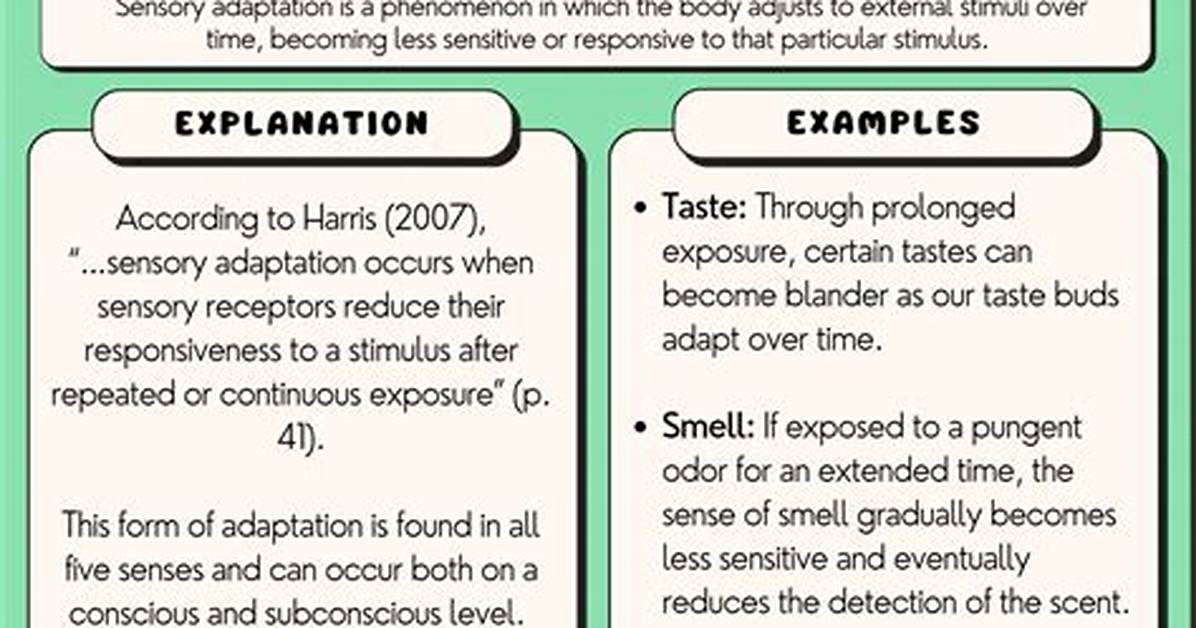 Sensory Adaptation Example