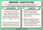 Sensory Adaptation Example