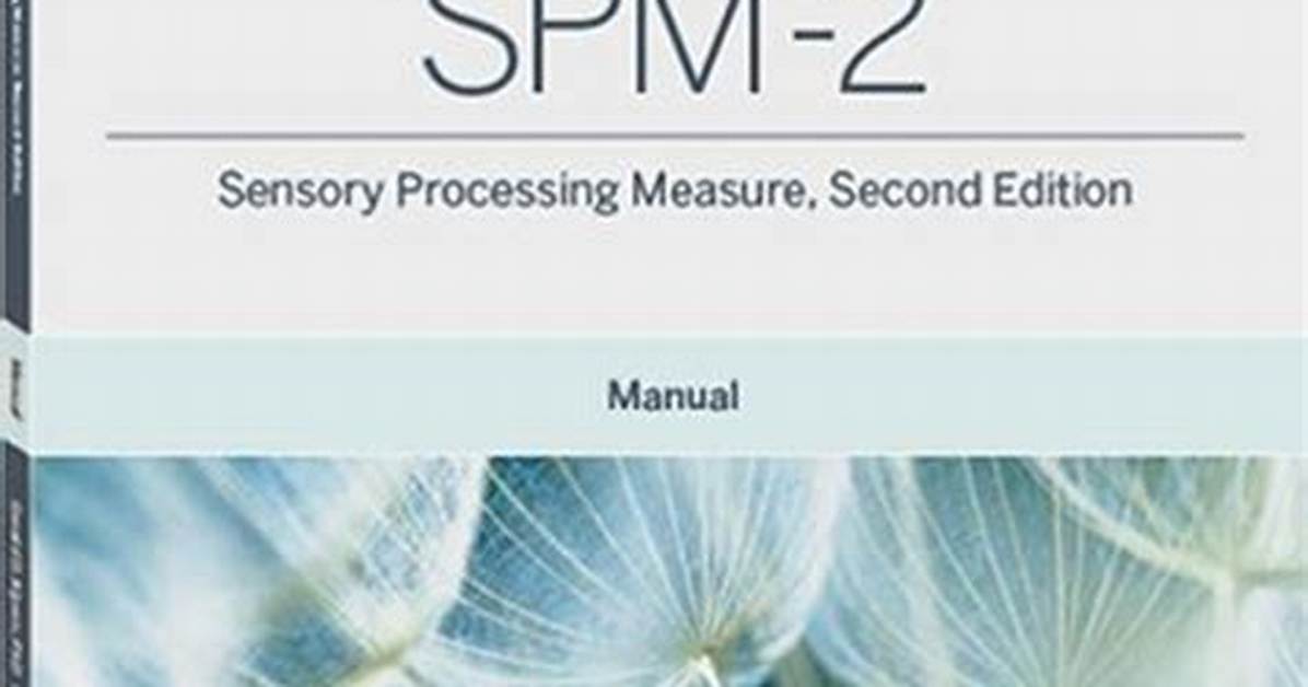 Sensory Processing Measure