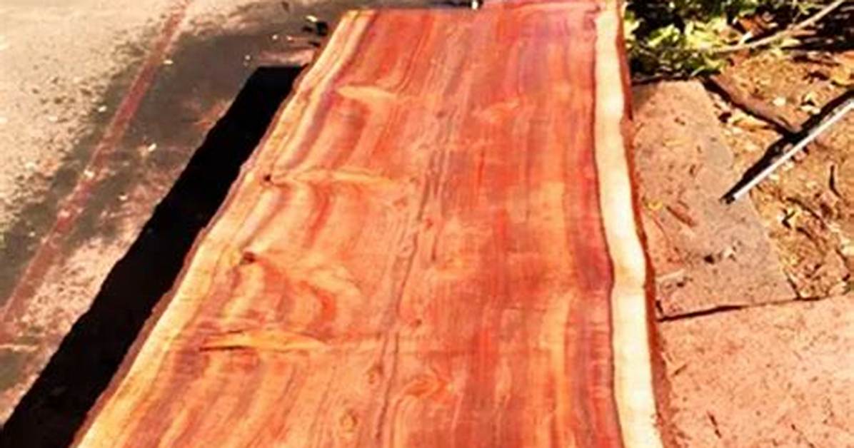 Sequoia Lumber
