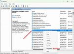Service Host Network Service