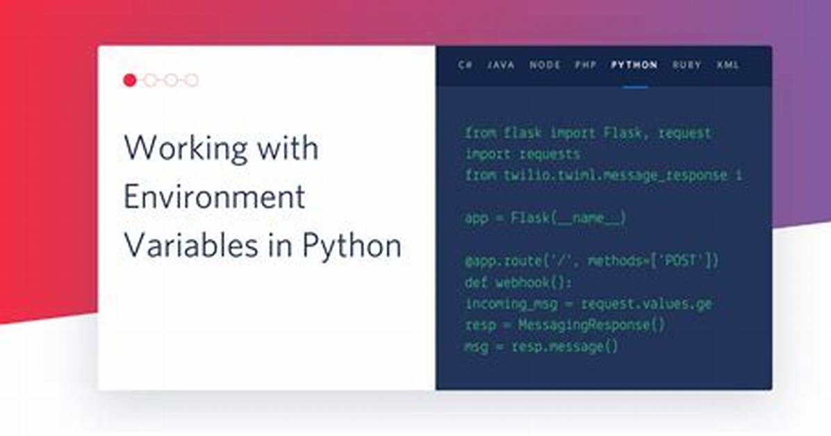 Set Environment Variable in Python Script